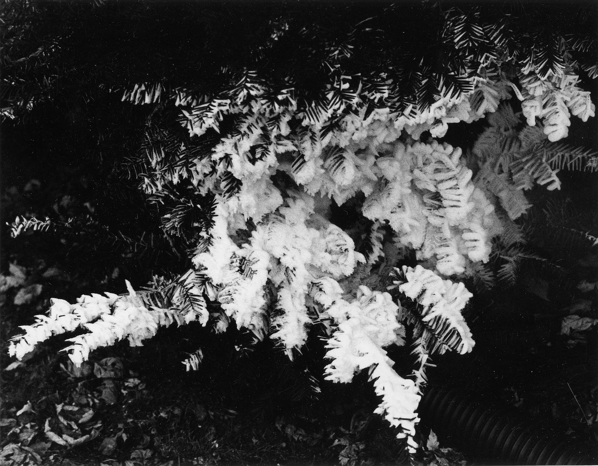 Dryer Frost