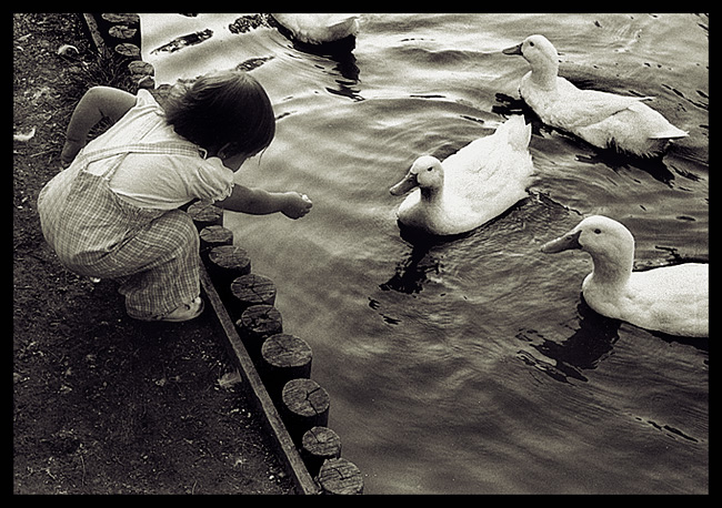 duck wrangler