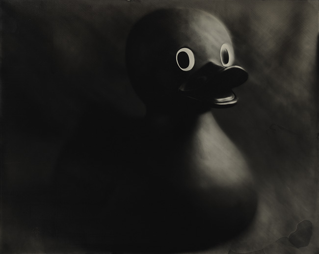 Ducky