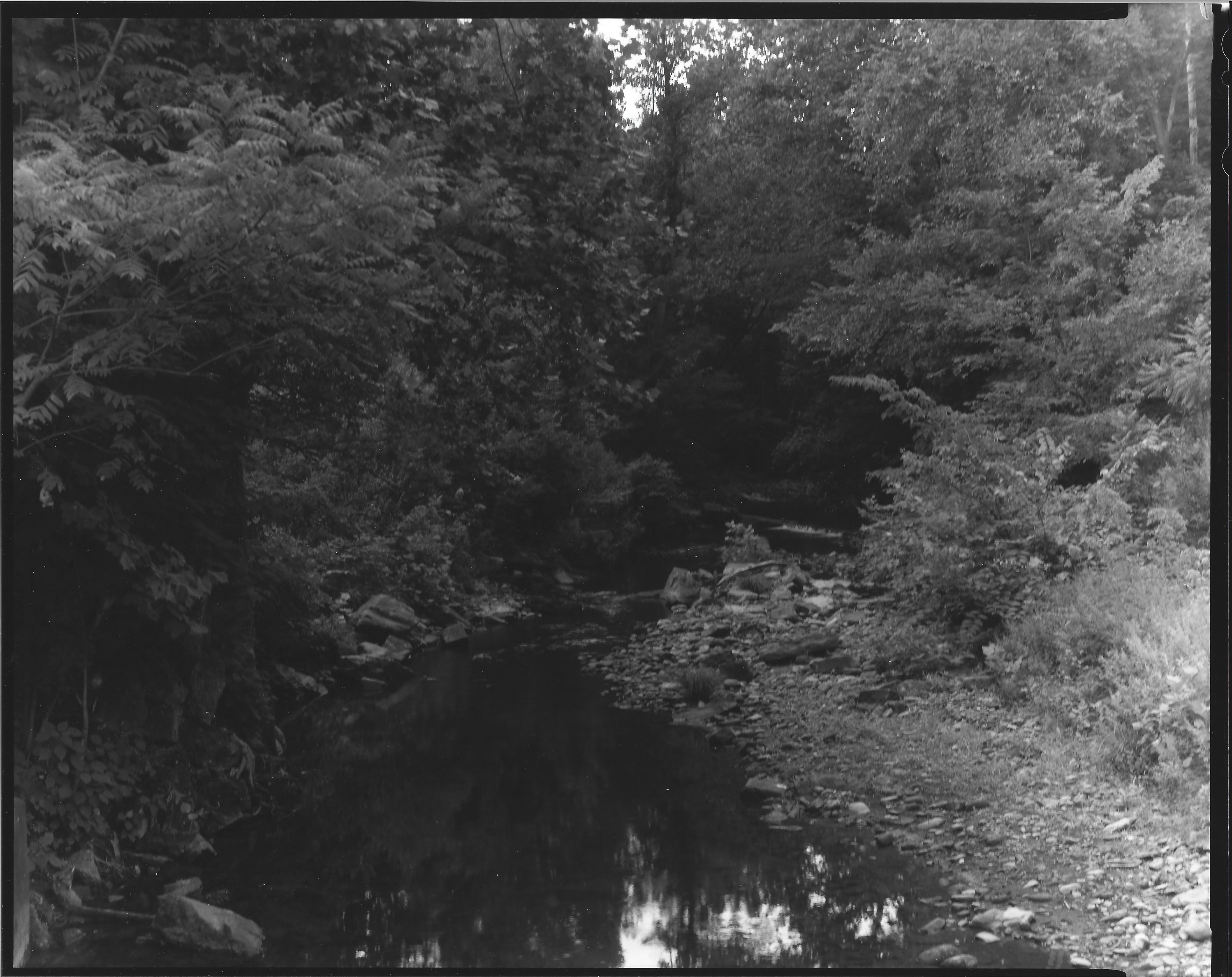 Dunbar Creek