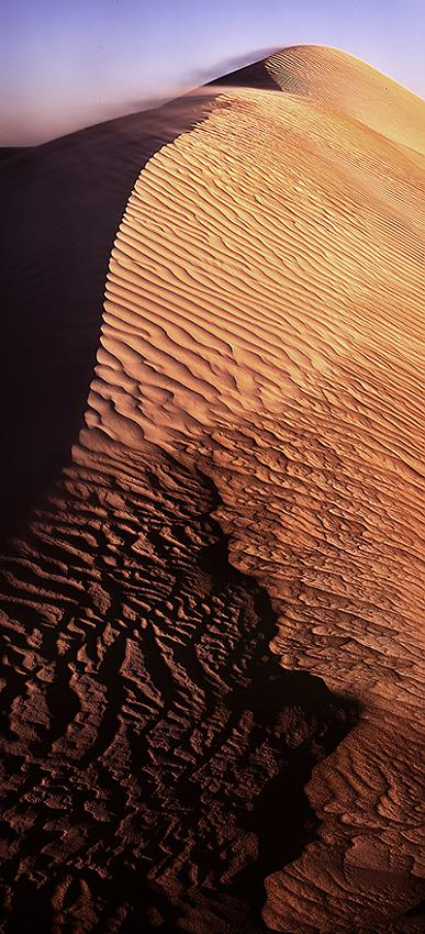 Dune 2