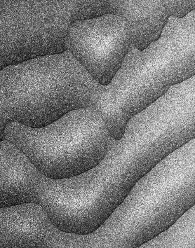 Dune_Detail