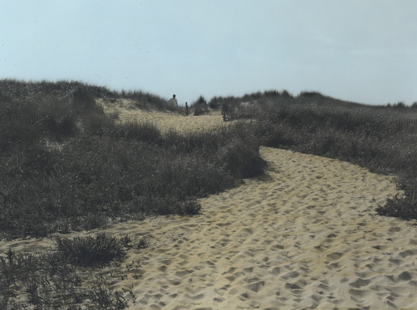 Dunes Cape Cod