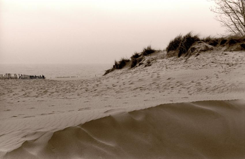 Dunesb