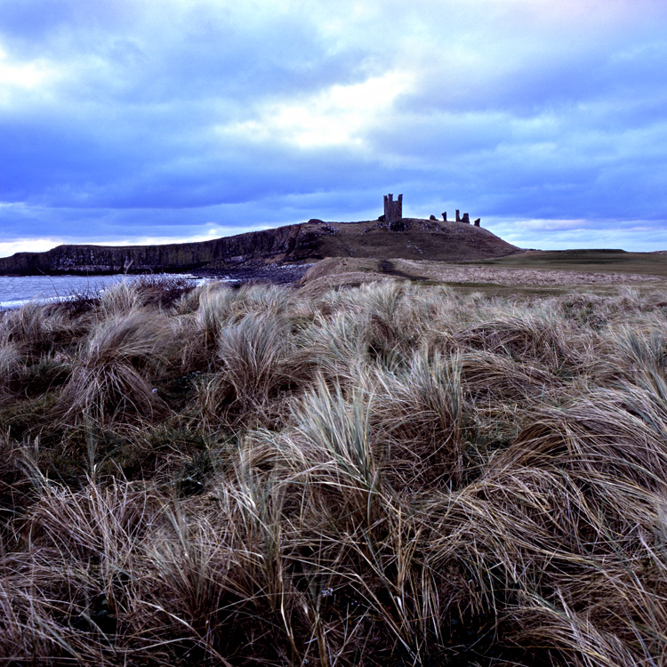 Dunstanburgh view