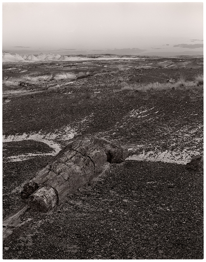 Dusk at Petrified Forest