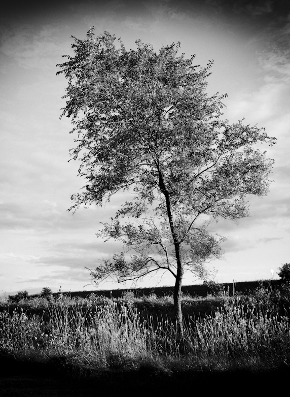 Dusk, Highway Park 2