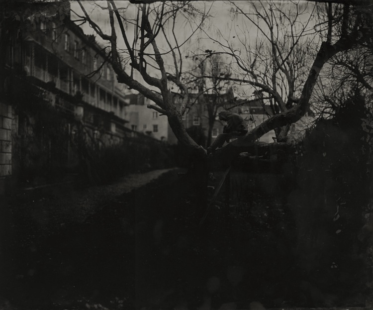 Dusk; Noah, Clifton 2012
