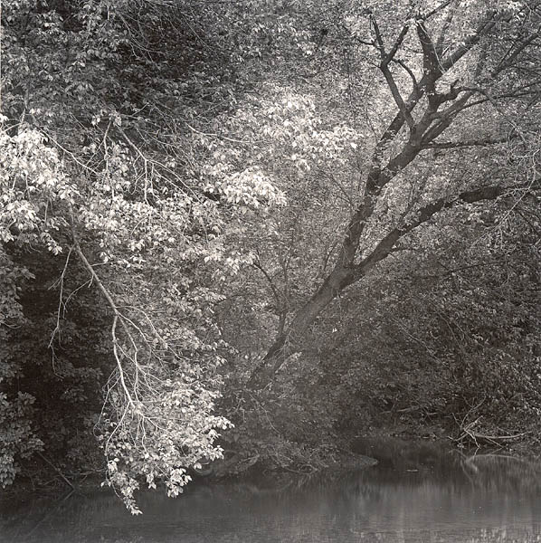 Dusk on Eagle Creek