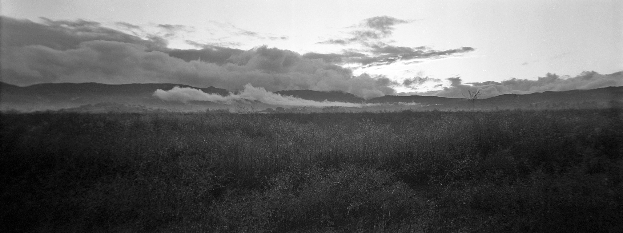 Dusk