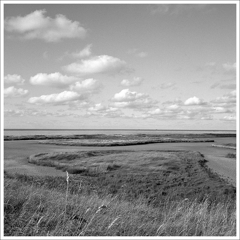 Dutch Landscape - II