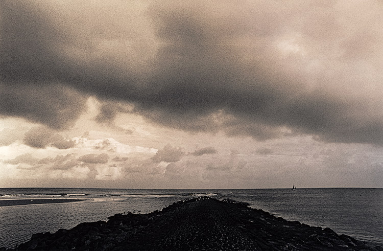 Dutch Swell