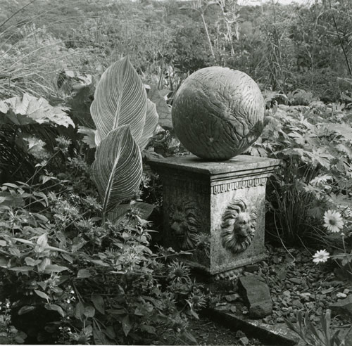 Dyffryn Fernant garden