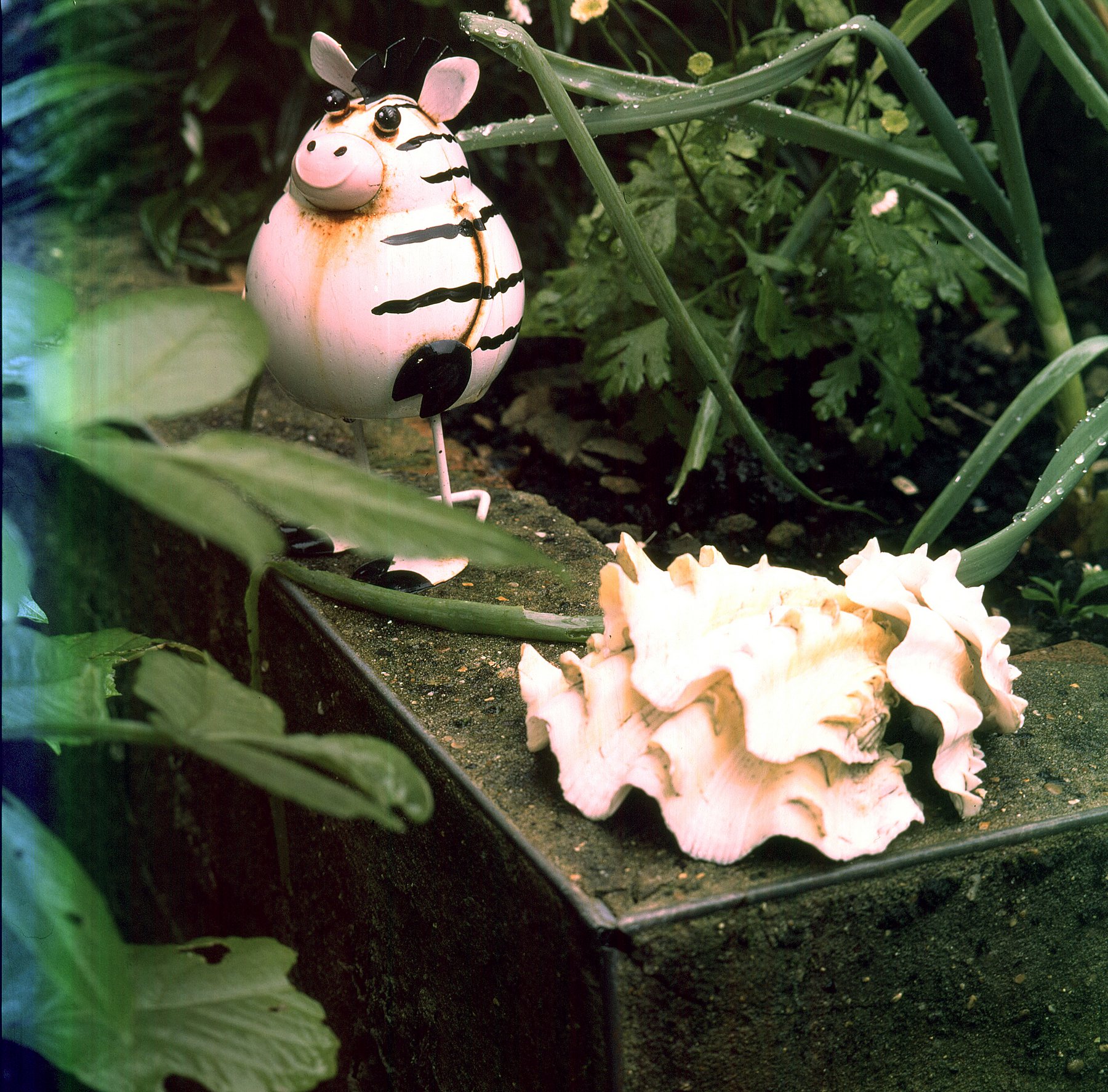 E6 Process Test 04
