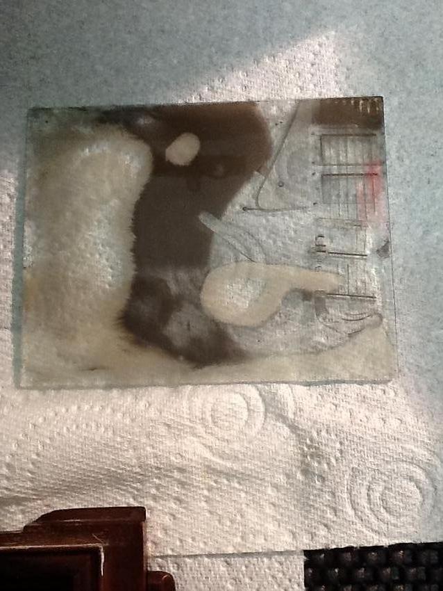 Early collodion mistakes