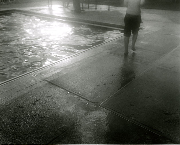Early Evening Swim