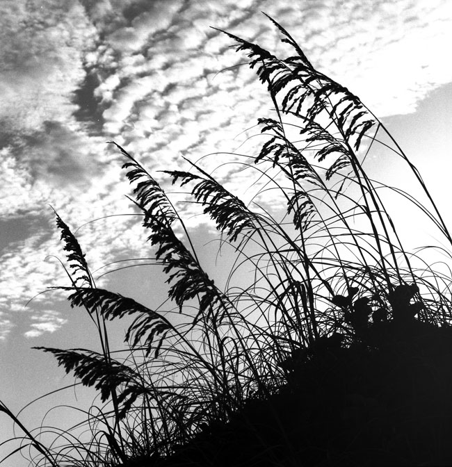 Early Morning at the Beach