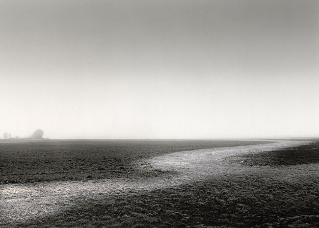 Early morning farm field