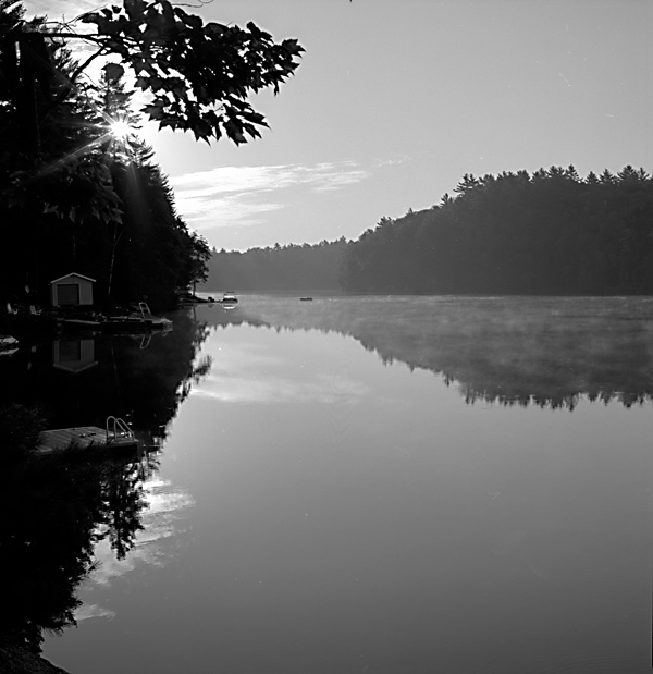 Early Morning Mist