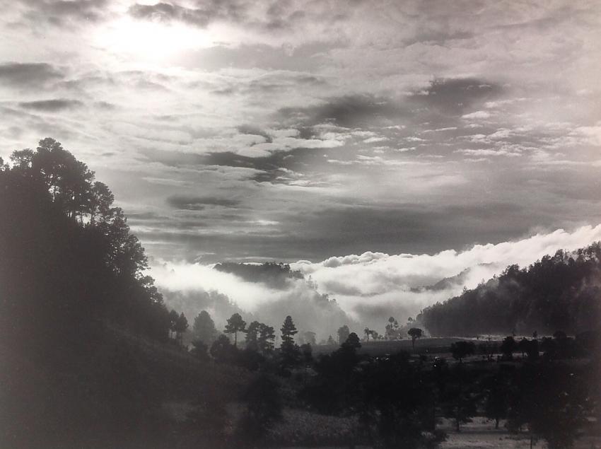 Early morning, Pacoxom, after the rain