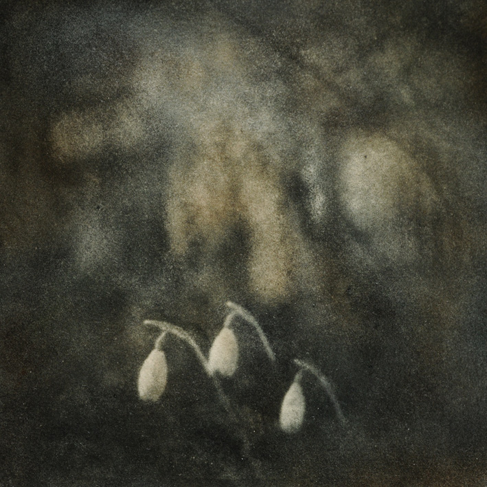 Early Spring..Bromoil