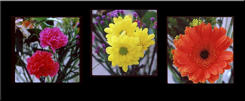 Early Spring Floral