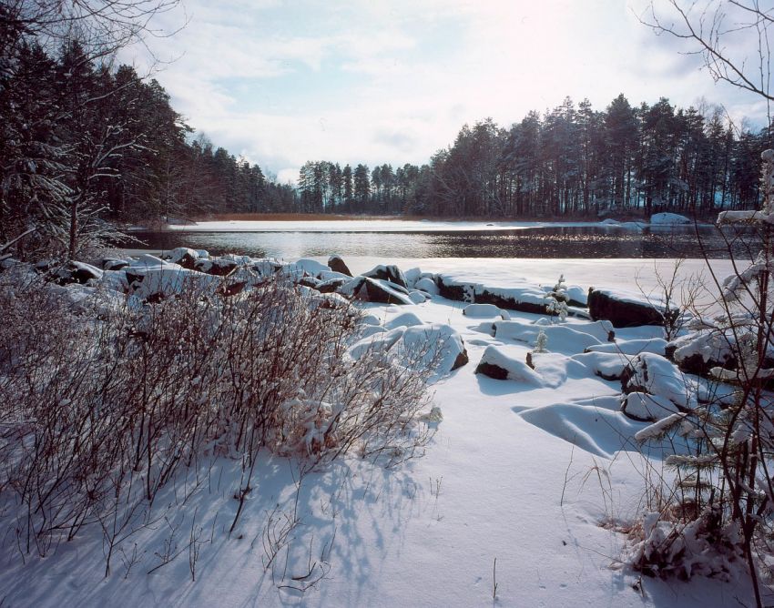 early spring in colour