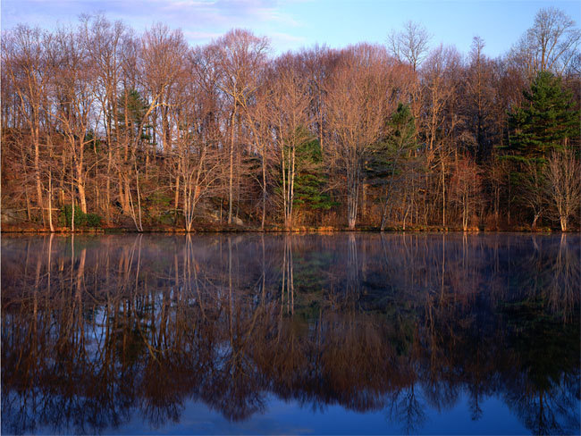 Early Spring Morning, Young's Pond