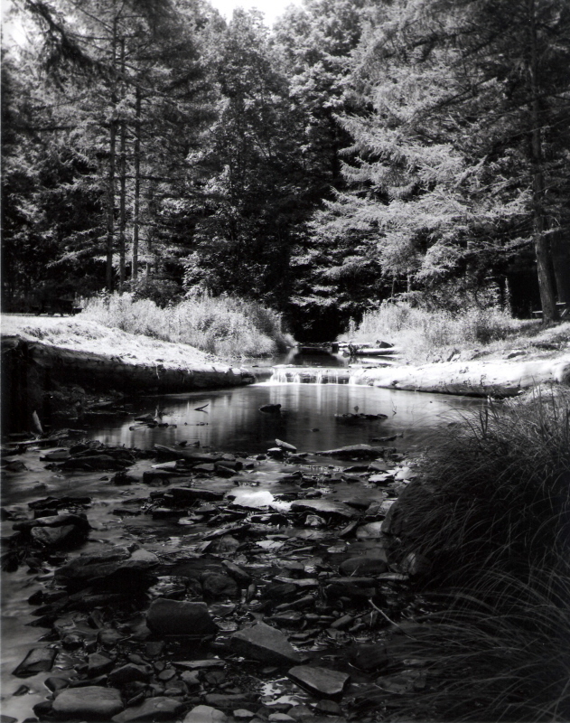 east fork of Cowley Run