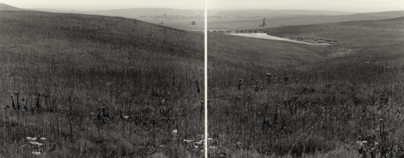 East of Texaco Hill - 8x20 Diptych