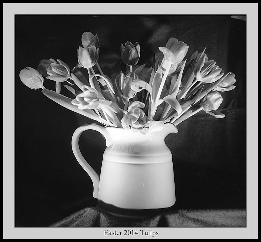 Easter Tulips 2014