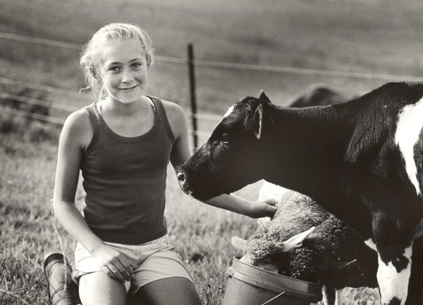Ebony and calf, farm project