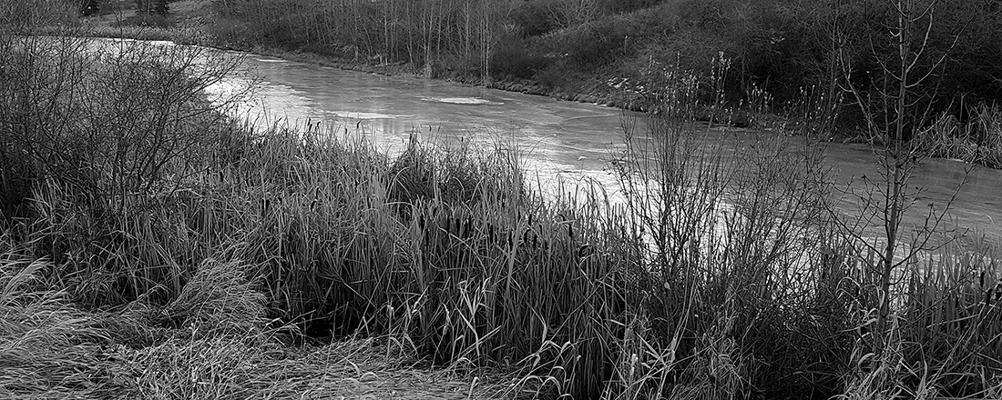 Edgemont Pond