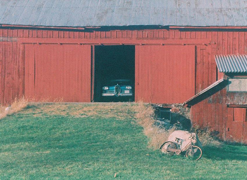 Edsel in the Barn