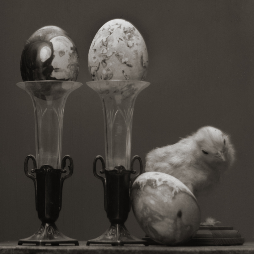 egg and chicken..