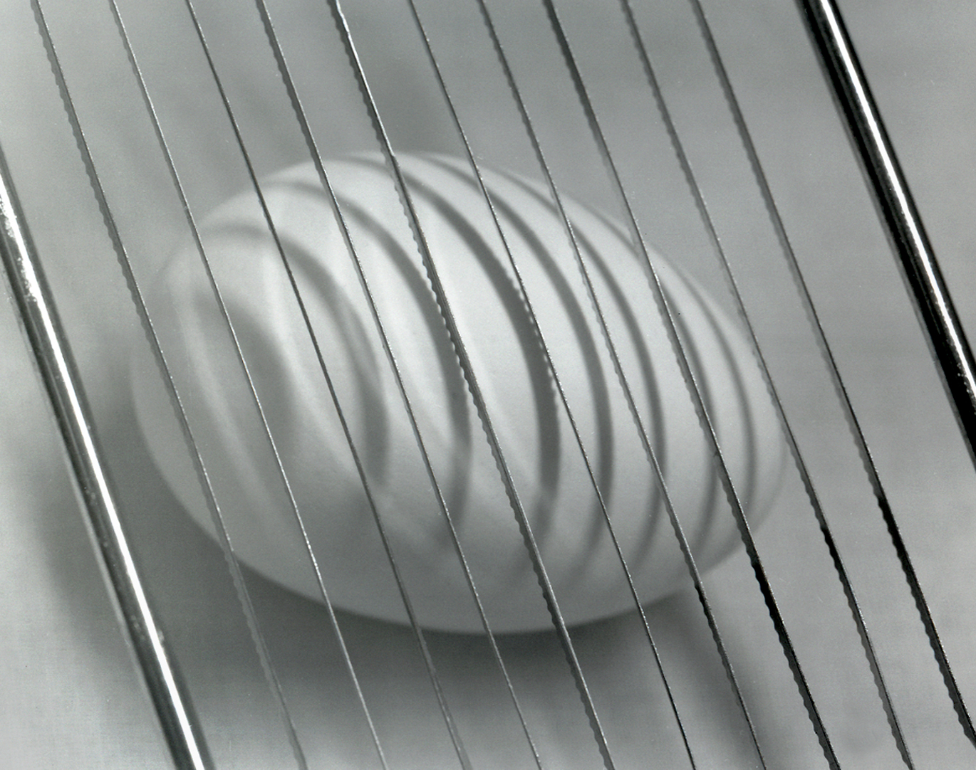Egg