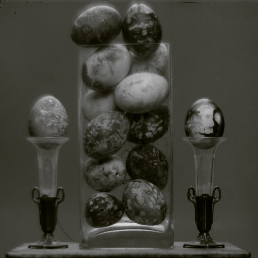 eggs