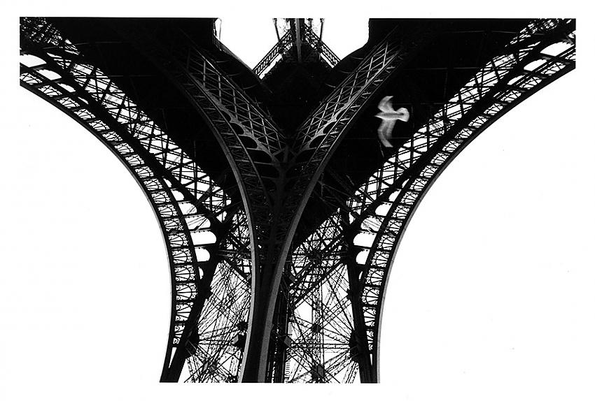 Eiffel Bird