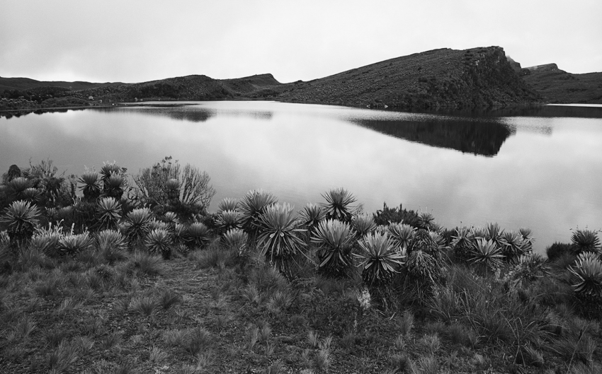 El Tunjo Lagoon