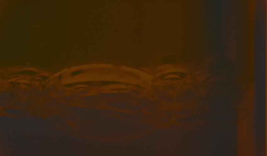 elders wake - corrosive series