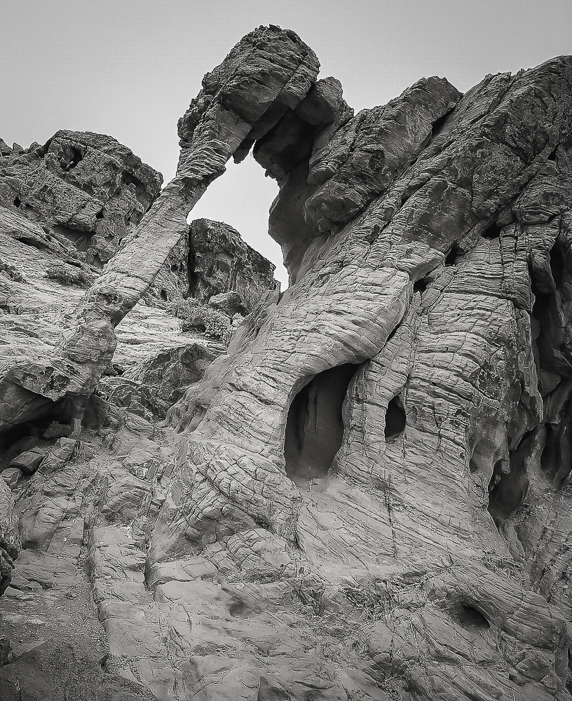 Elephant Rock.jpg