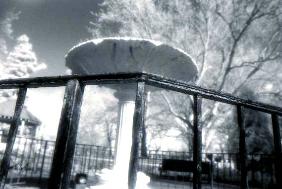 Elizabeth Park 1