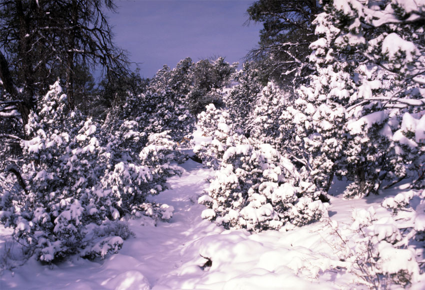 Elk Trail-North entrance