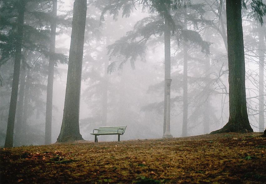 Empty Bench