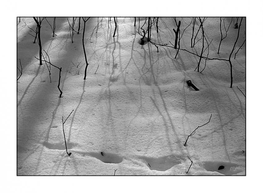 End Of Winter