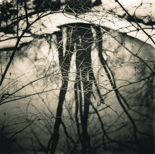 Entwined, Eagle Creek