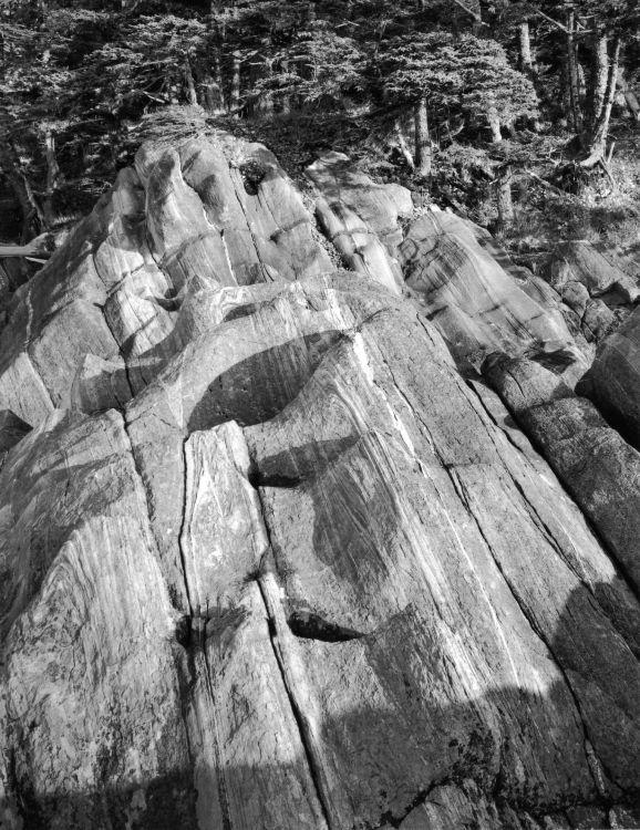 Eroded Rock (Fan Point, Porcher Island)