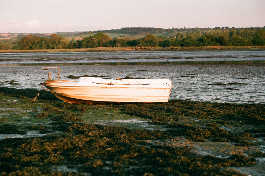 Estuary Evening
