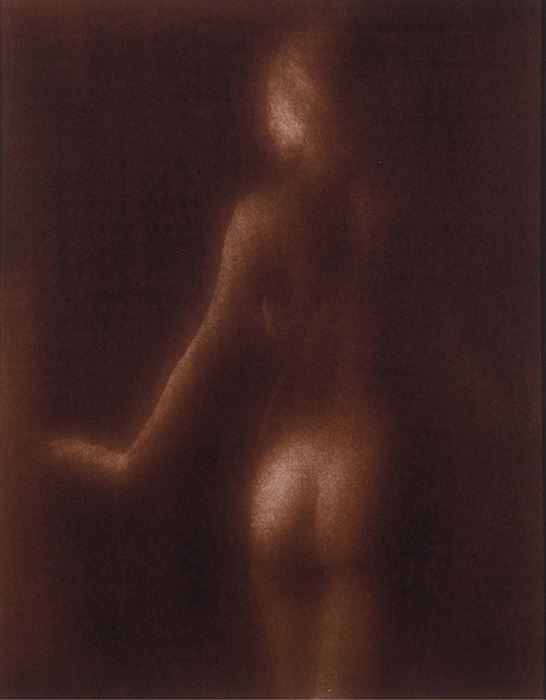 Eva, Posterior, Diffused