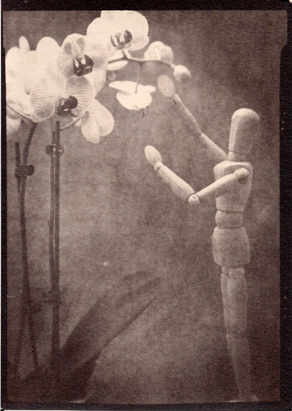 Eve